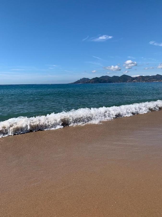 Cannes Old Port, Seafront & Seaview, Yacht Show Port Esterno foto